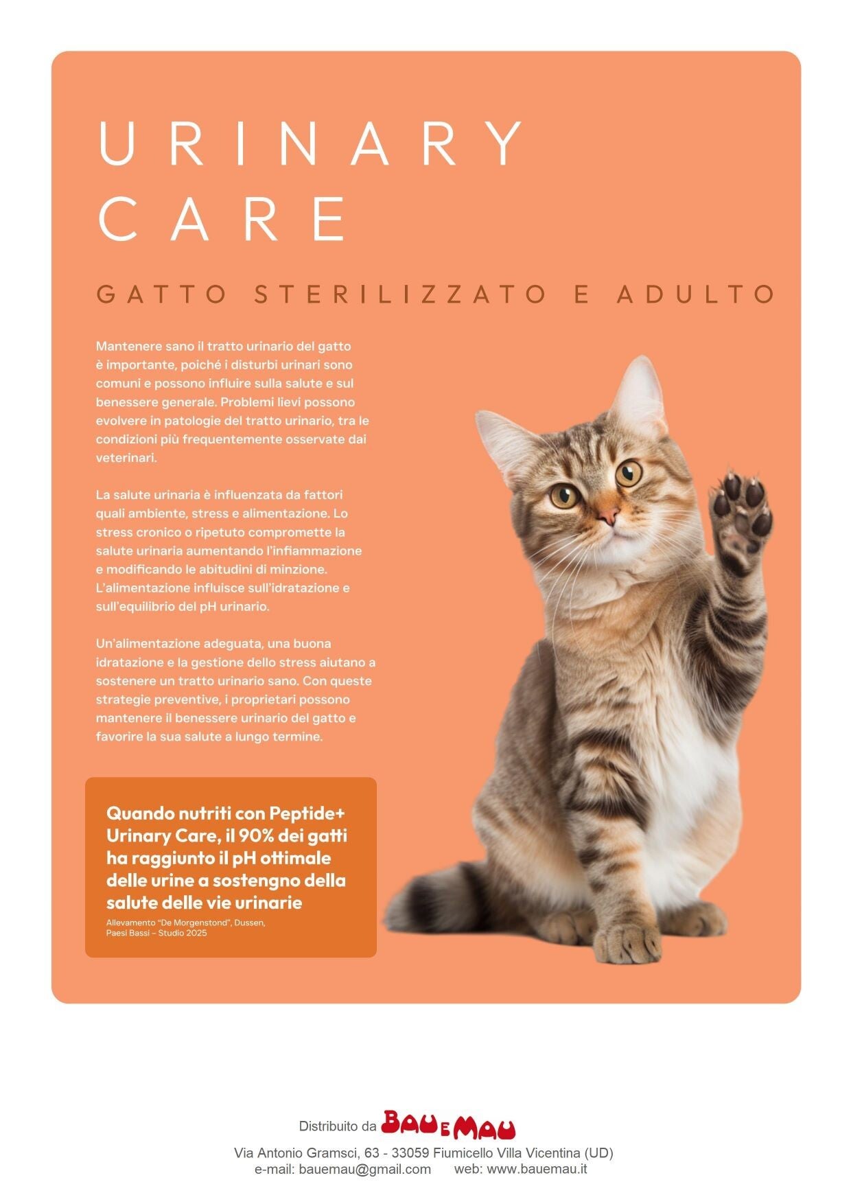 Gatto adulto, gatto sterilizzato, dieta, URINARY CARE