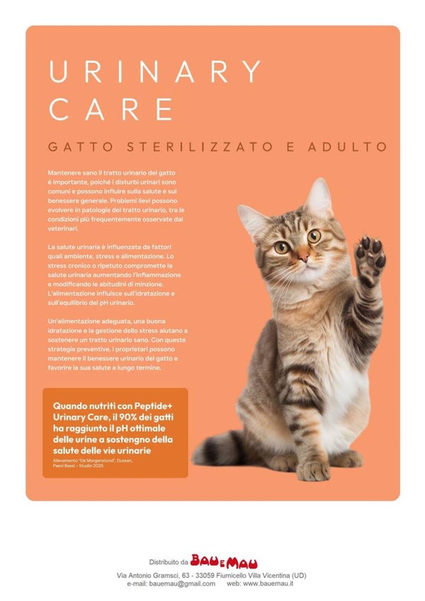 Gatto adulto, gatto sterilizzato, dieta, URINARY CARE