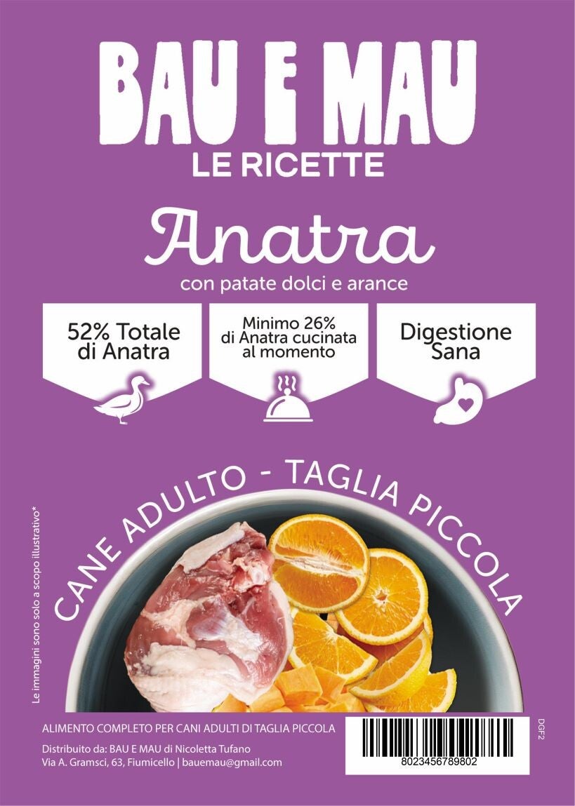 Cane adulto, taglia piccola, ANATRA