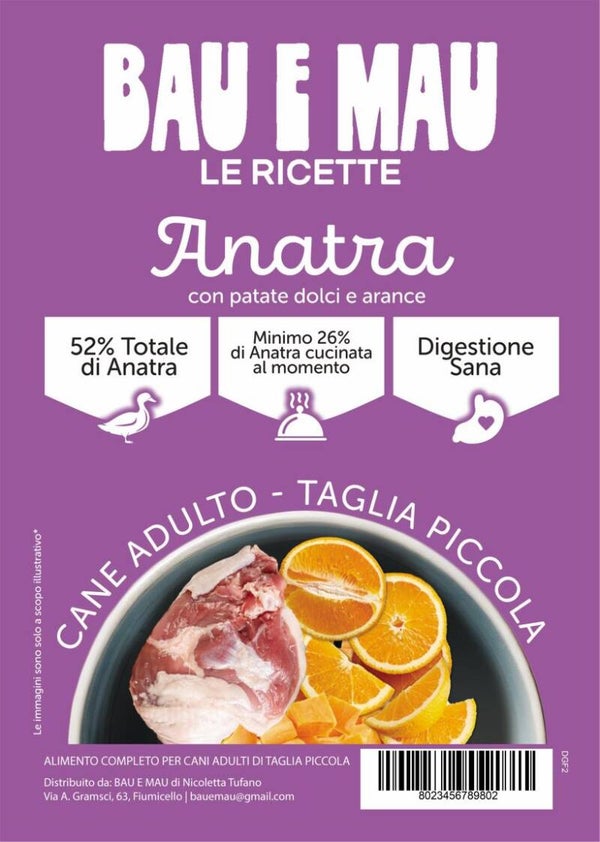 Cane adulto, taglia piccola, ANATRA