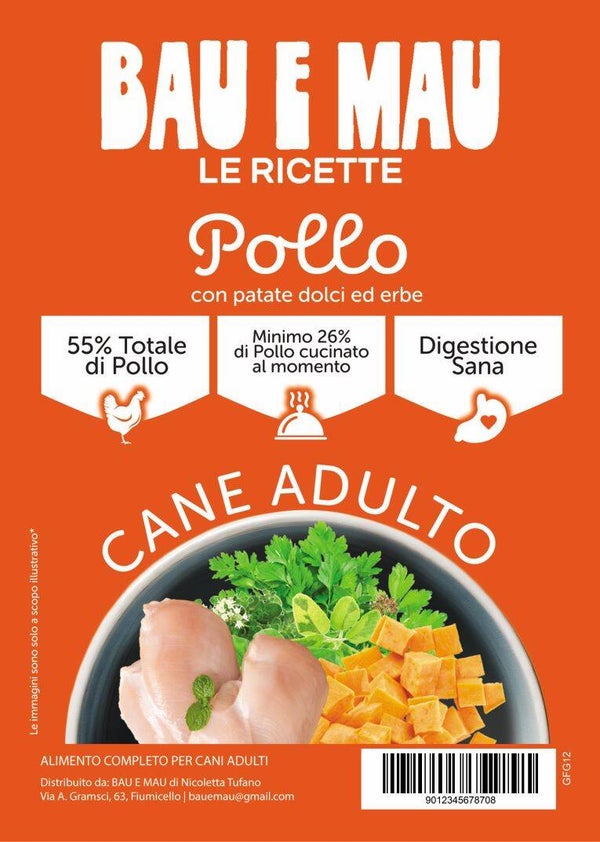 Cane adulto, POLLO