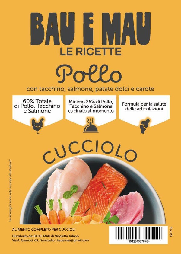 Cucciolo, POLLO