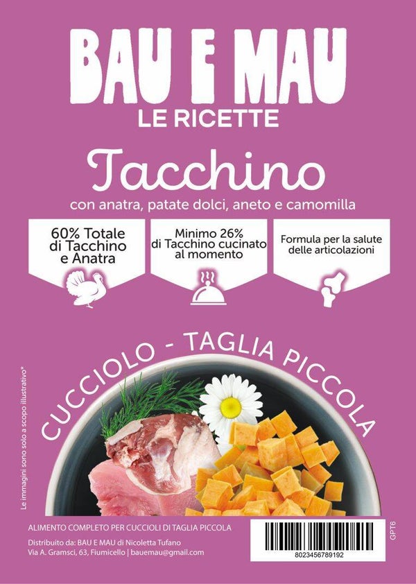 Cucciolo, taglia piccola, TACCHINO