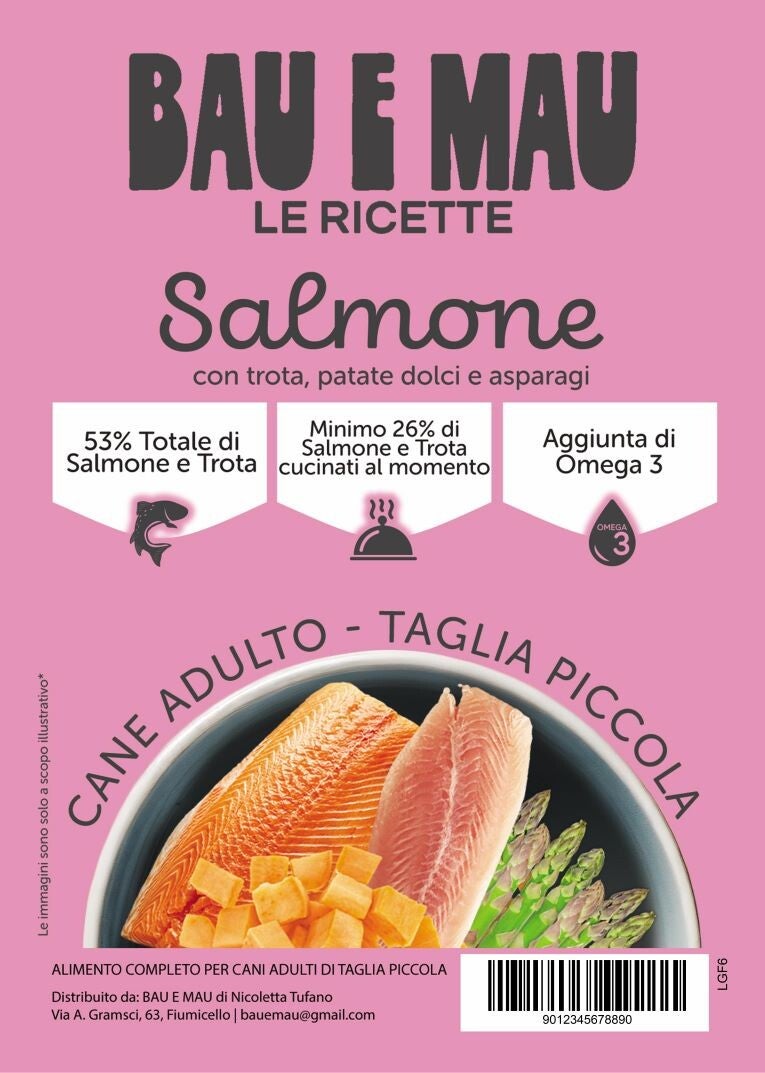 Cane adulto, taglia piccola, SALMONE