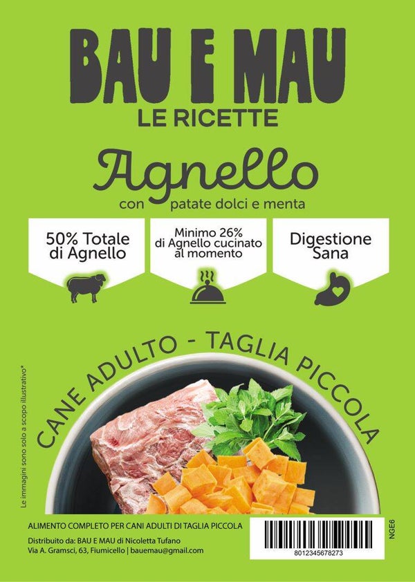 Cane adulto, taglia piccola, AGNELLO