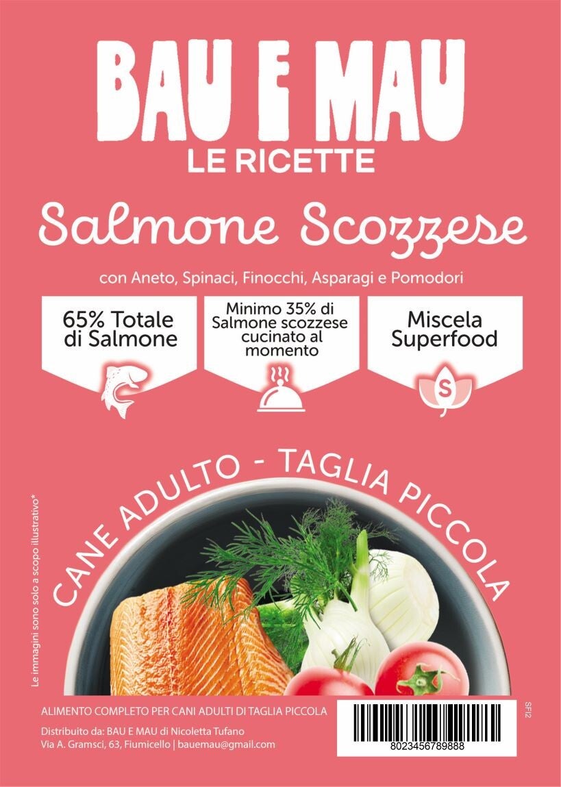 Cane adulto, taglia piccola, SALMONE SCOZZESE SUPERFOOD