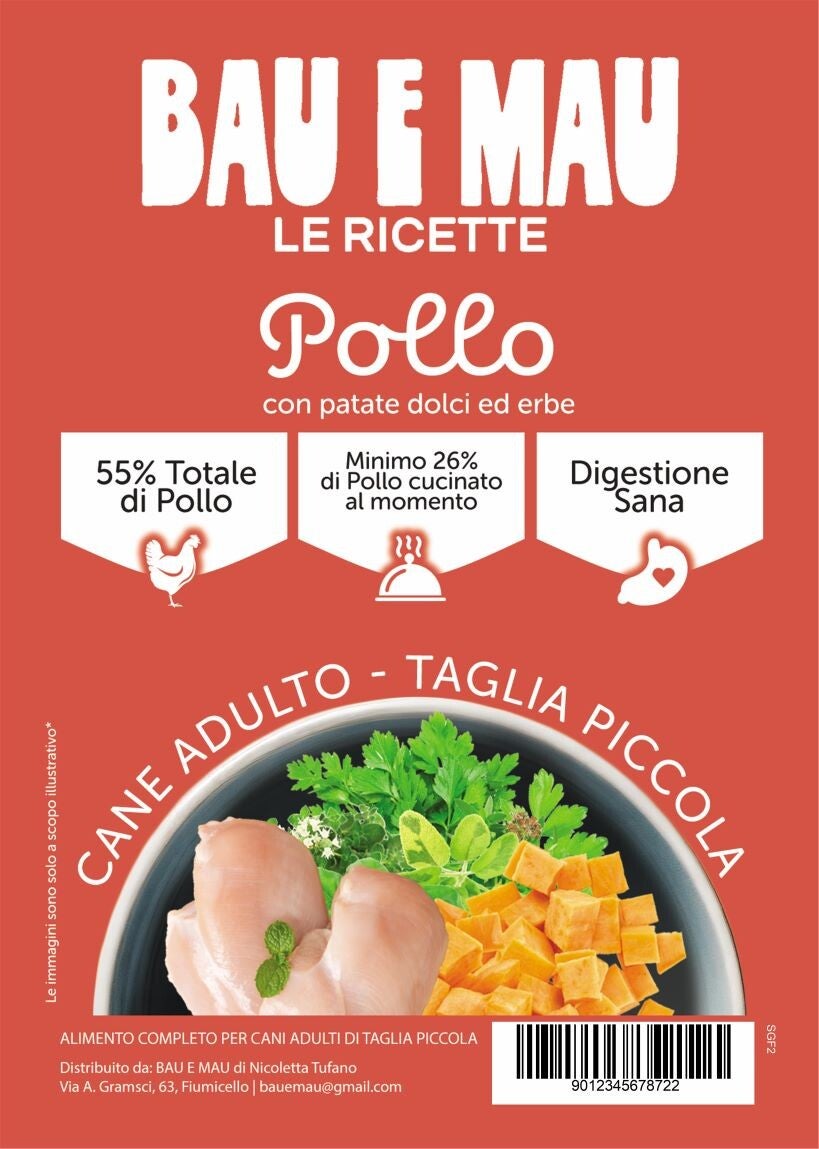 Cane adulto, taglia piccola, POLLO