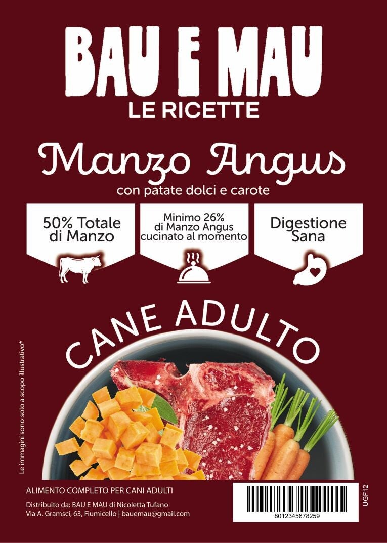 Cane adulto, MANZO ANGUS