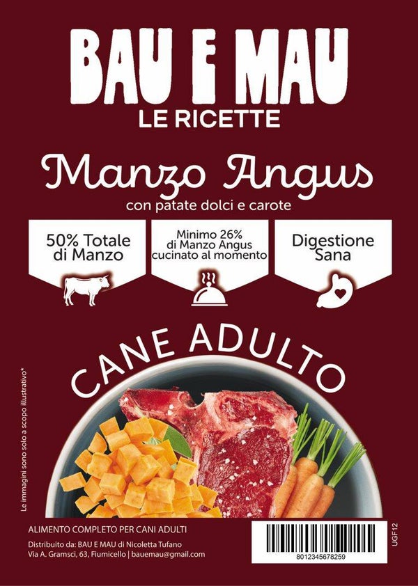 Cane adulto, MANZO ANGUS