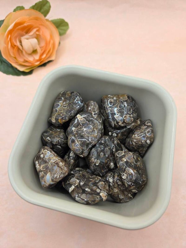 Turitella Agaat trommelsteen