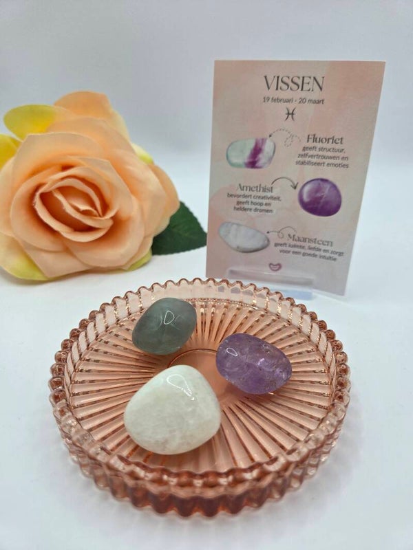 Sterrenbeeld trommelstenen set VISSEN