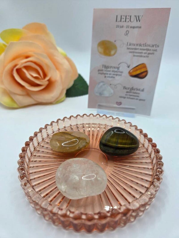 Sterrenbeeld trommelstenen set LEEUW