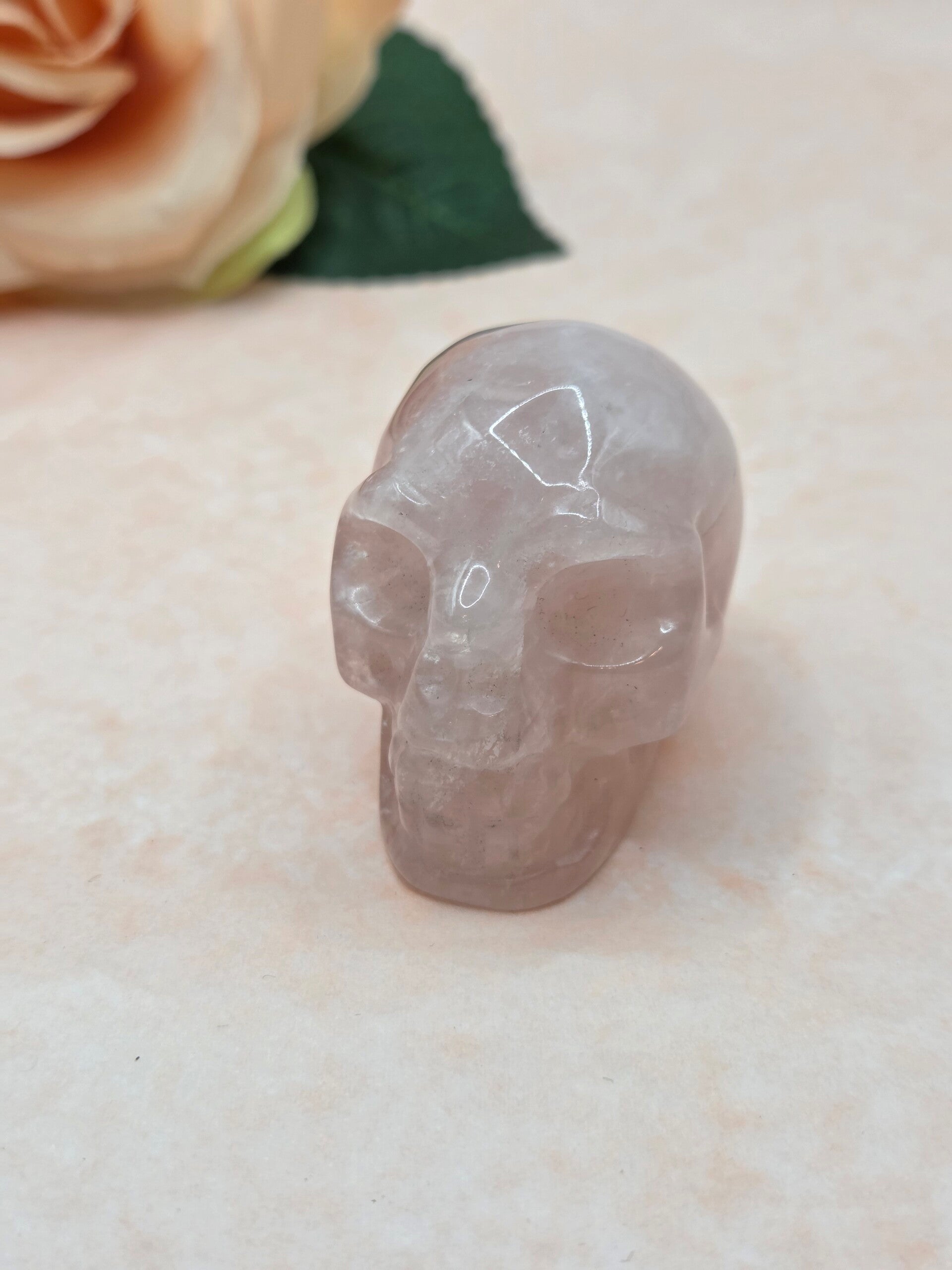 Rozenkwarts schedel