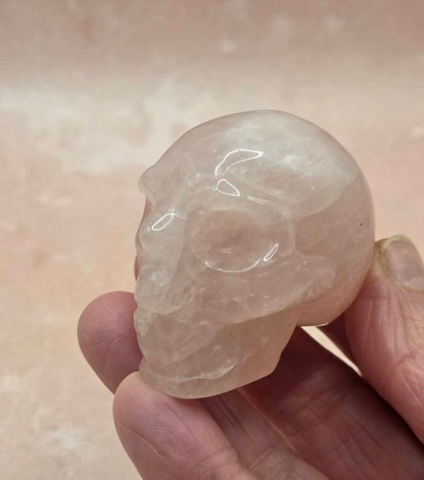 Rozenkwarts schedel