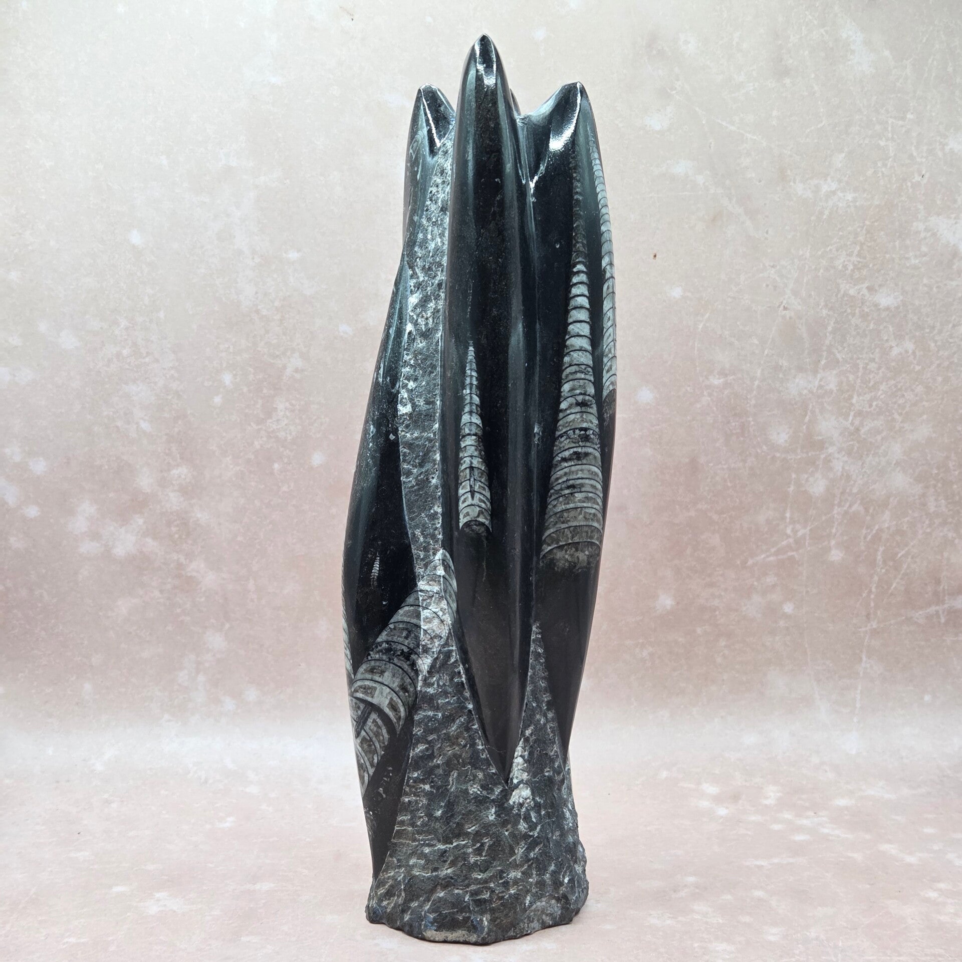 Orthoceras sculptuur