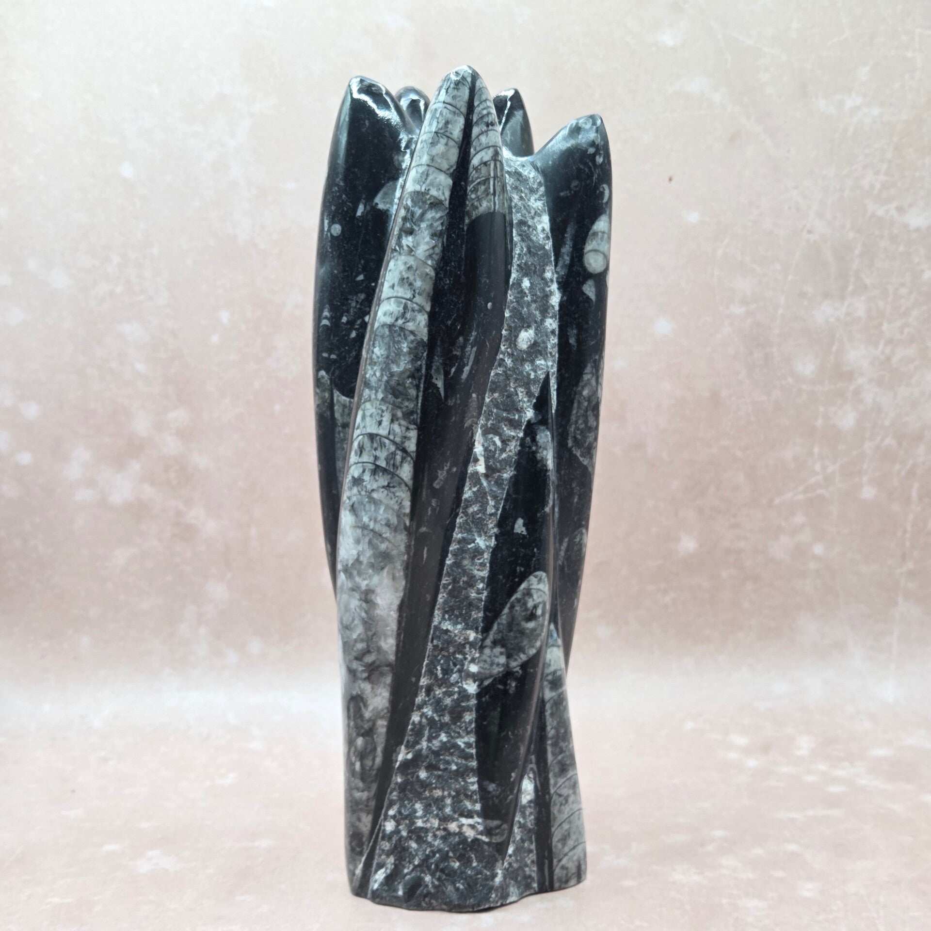 Orthoceras sculptuur