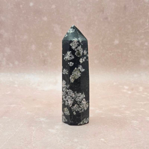 Boomagaat donker punt