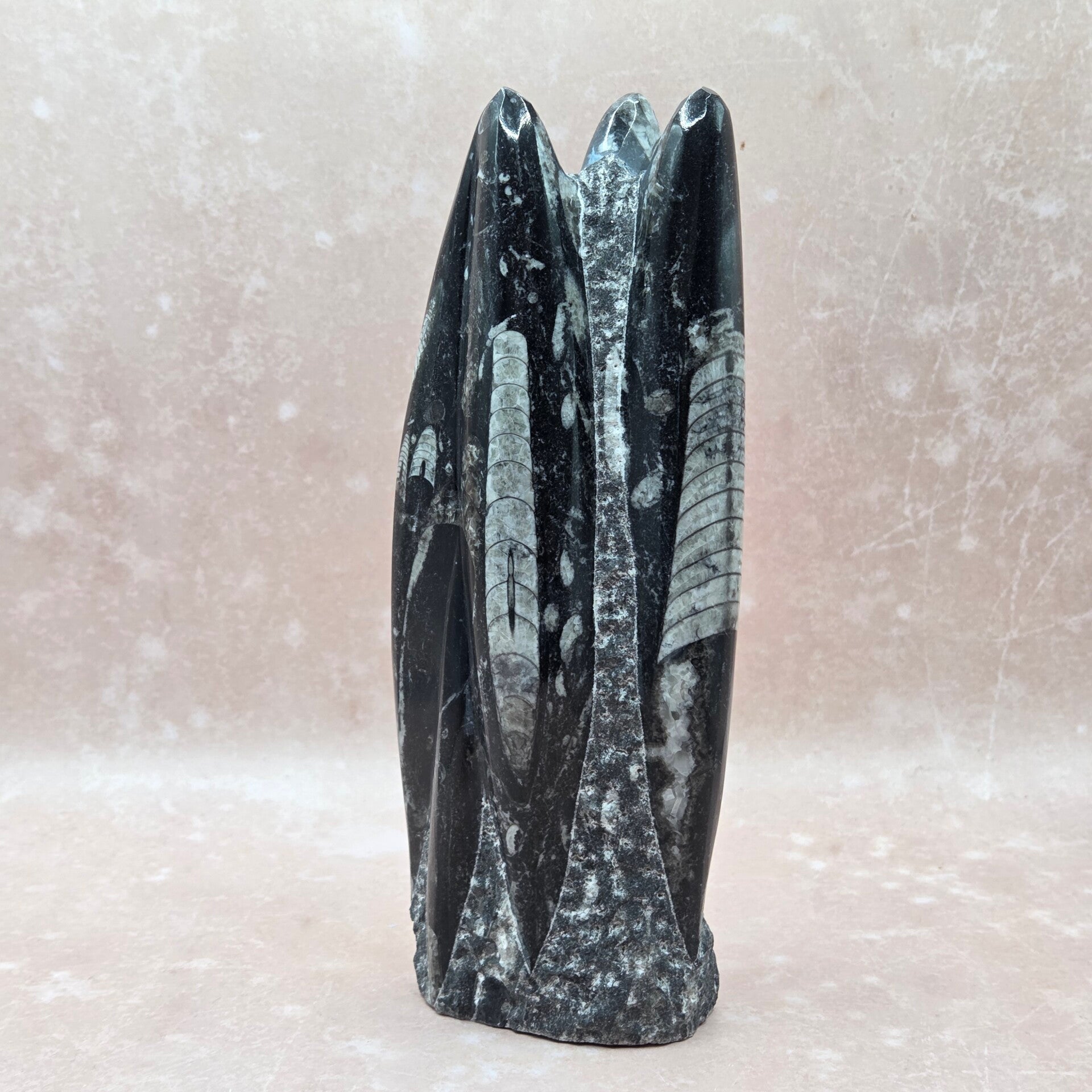 Orthoceras sculptuur