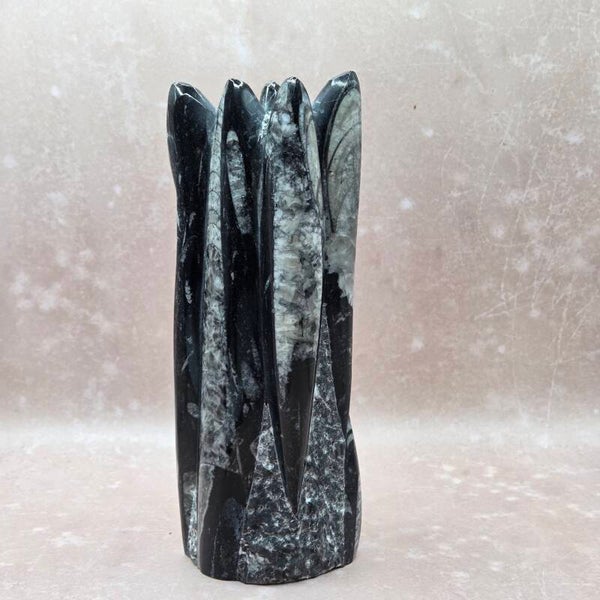 Orthoceras sculptuur