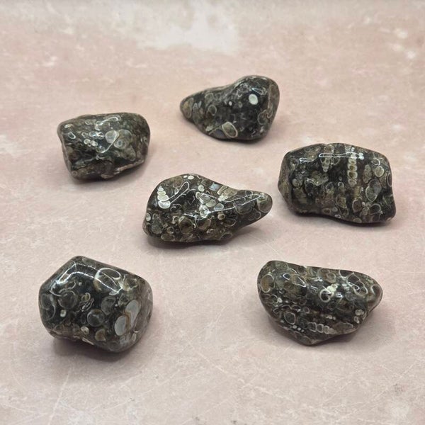 Trommelsteen Turitella Agaat