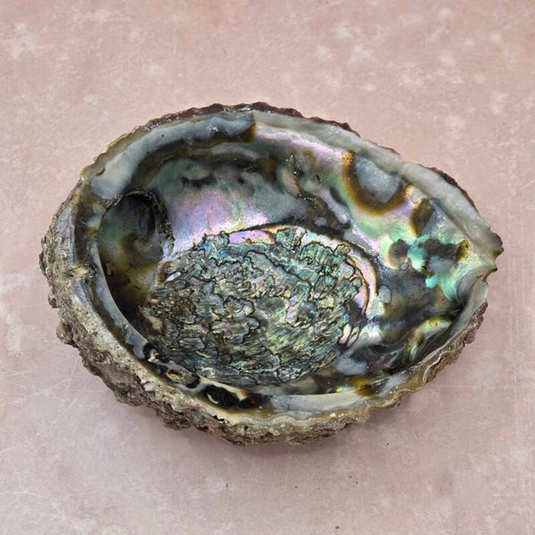 Abalone schelp - decoratief & spirituele rituelen