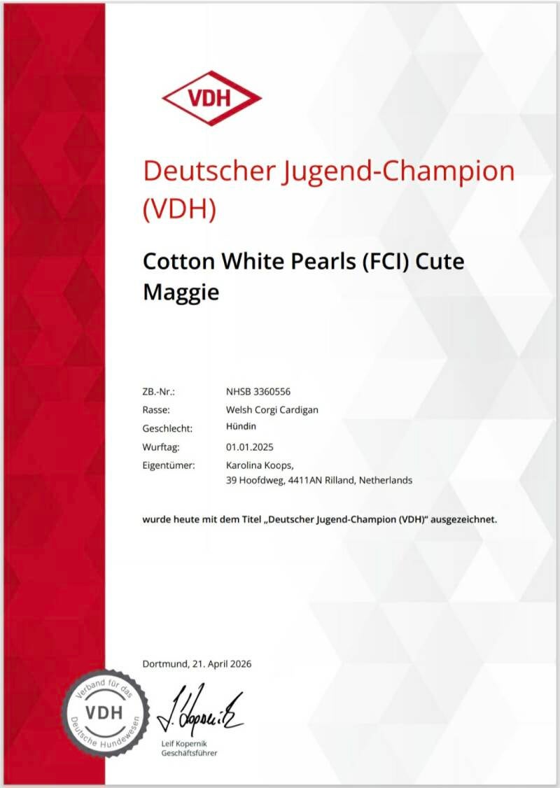 d2256f16-93bb-4458-984e-f5983a2ebe80-standard.jpg