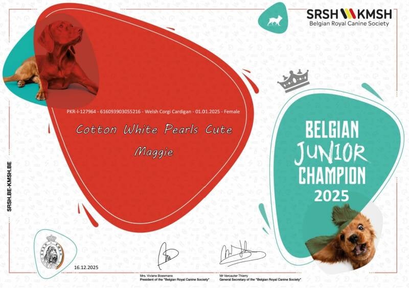 diploma_young_2025_251216_113128-standard-on15jj.jpg