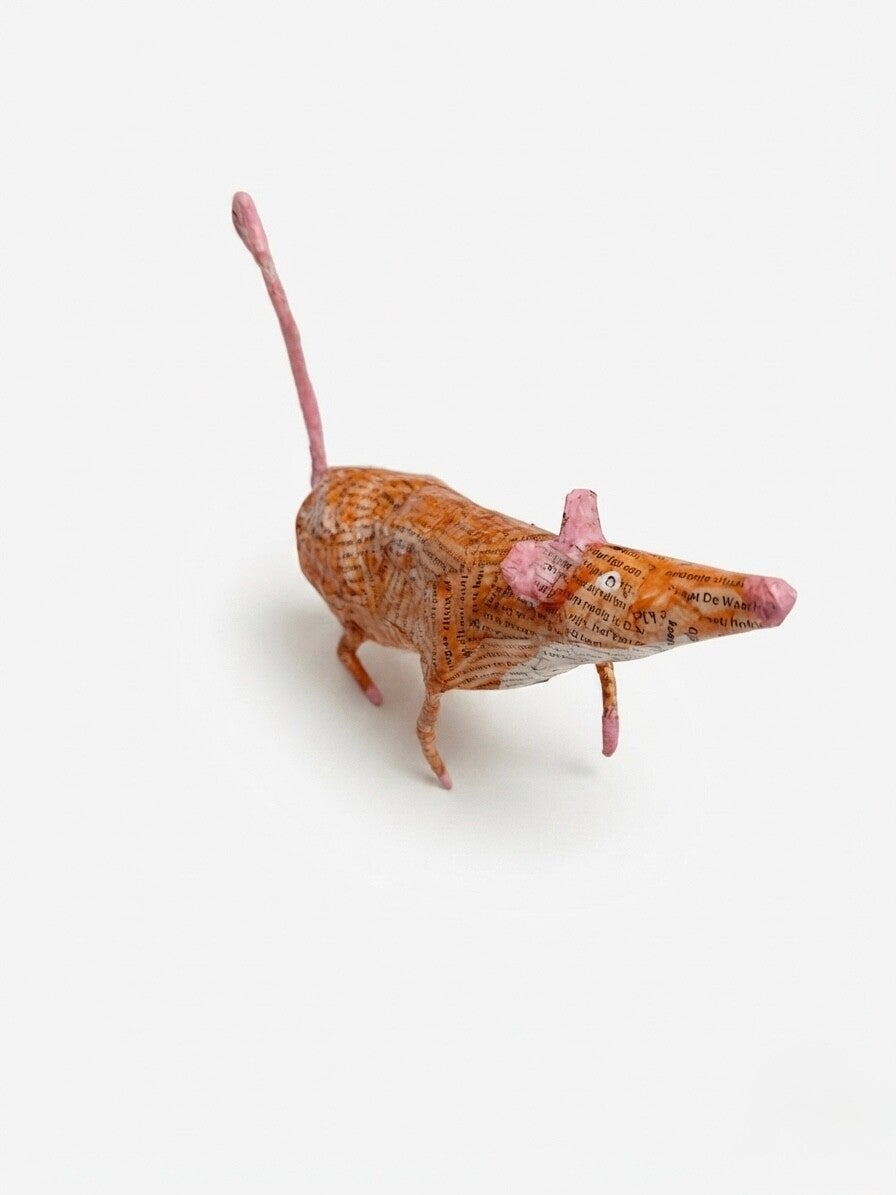 Meet the little mice