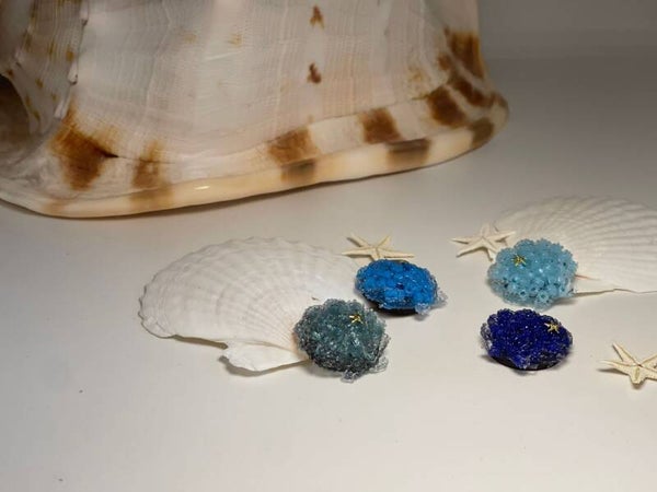 Setje magneetjes