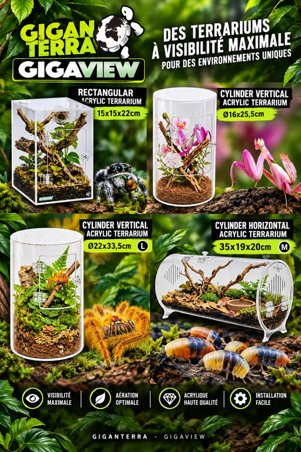 Terrarium Acrylique GIGAVIEW