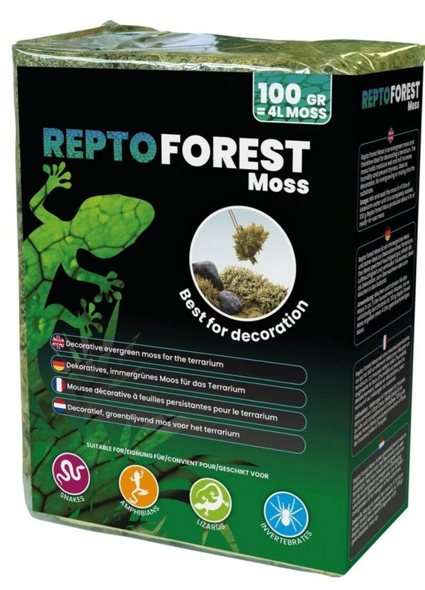 Mousse Repto Forest