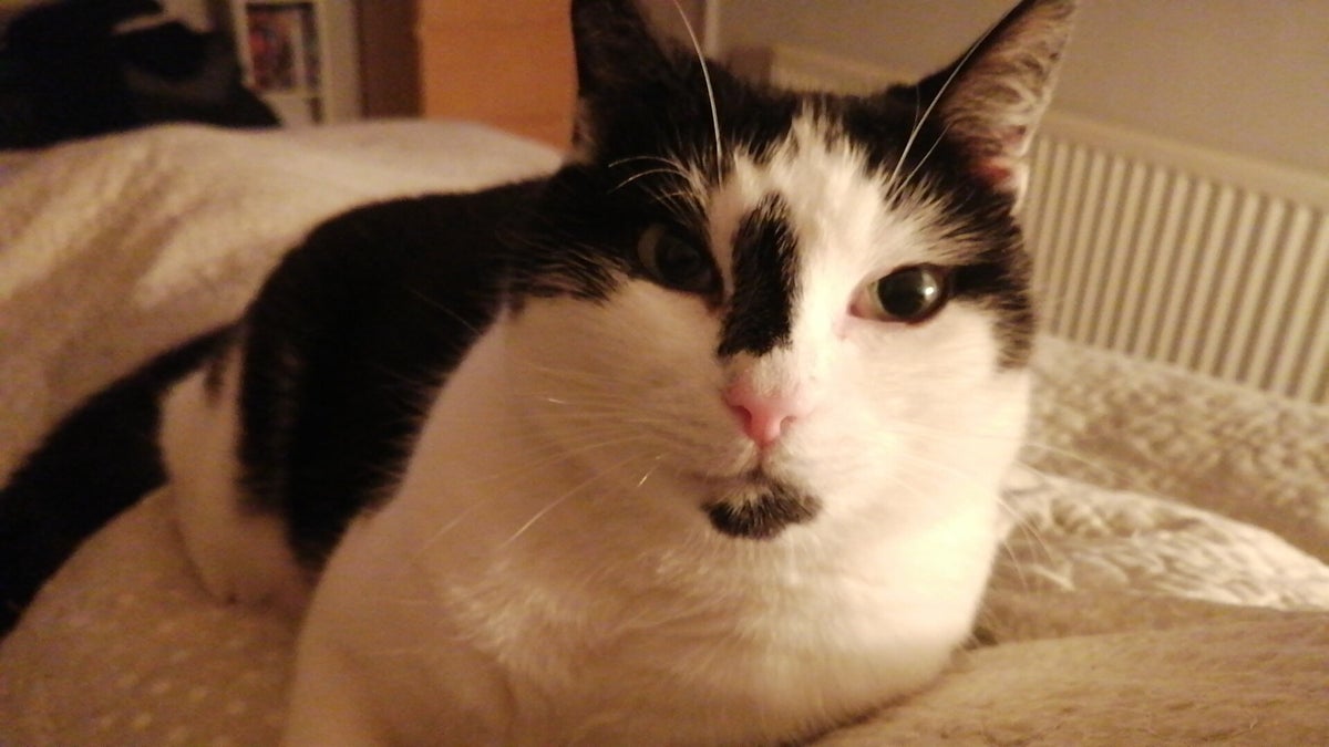 10 Years Strong / Blog | Hectic Teacher Resources