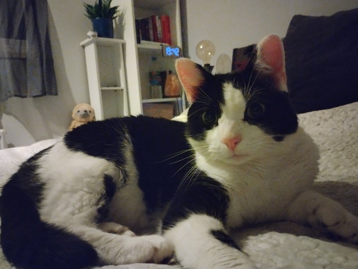 10 Years Strong / Blog | Hectic Teacher Resources