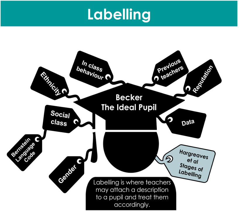 ED6 - Roles and Processes / Education / SOCIOLOGY SUPPORT | Hectic ...