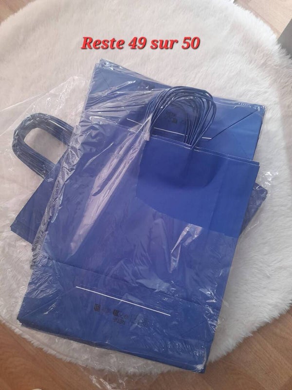 Lot de sac kraft bleu