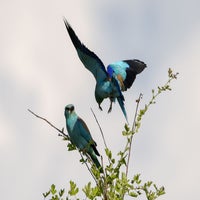 DSC_4606.jpg