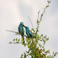 DSC_4623.jpg