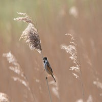 DSC_1310.jpg
