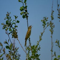 DSC_0761-2.jpg