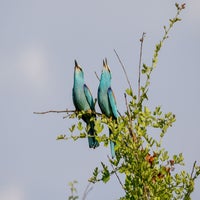 DSC_4579.jpg