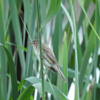 DSCN1520-2.jpg