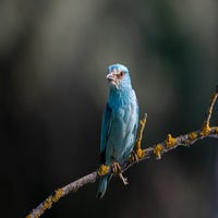 dsc_4701-1.jpg