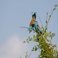 DSC_4741.jpg