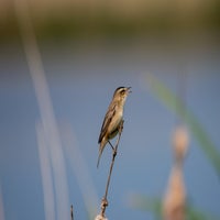 DSC_1692.jpg
