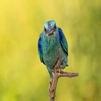 DSC_8166.jpg