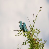 DSC_4593.jpg