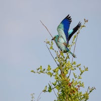 DSC_4775.jpg