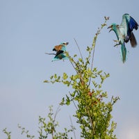 DSC_4714.jpg