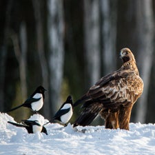 DSC_6417.jpg
