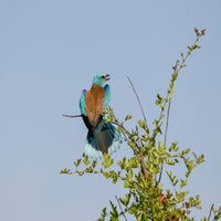DSC_4713.jpg